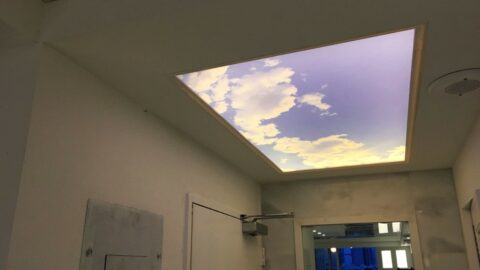 Stretch Ceiling for Packaging Facilities,